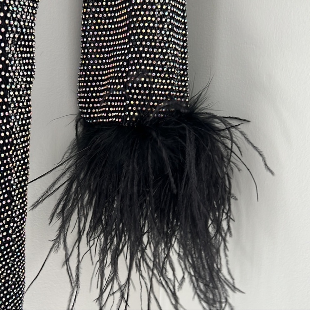 Santas brands Feathers Mini Dress in Sheer Mesh Sz M/L - Picture 9 of 15